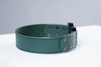 Green leather dog collar with COBRA® buckle - handmade in Lithuania by My Wild Other