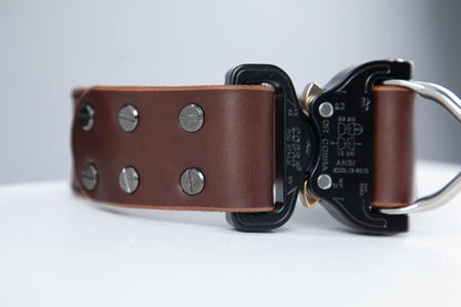 Brown leather dog collar with COBRA® buckle - European handmade dog accessories by My Wild Other