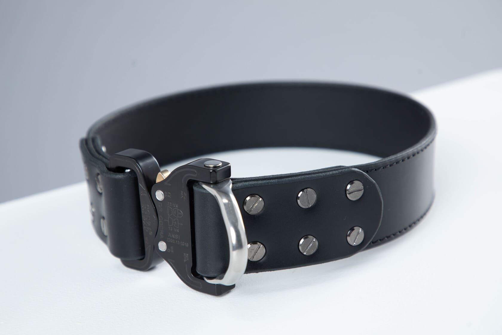 Black leather dog collar with COBRA® buckle - European handmade dog accessories by My Wild Other