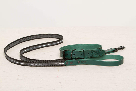Handmade green leather dog collar+matching leash 