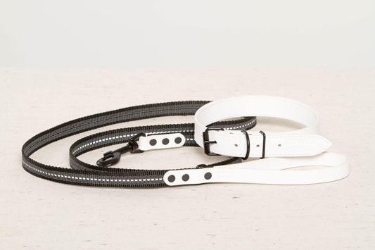 Handmade white leather dog collar+matching leash 