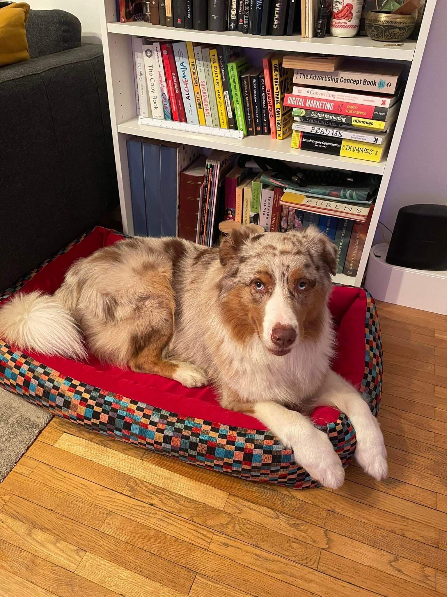 2-sided modern style dog bed. CHECKERED RED - handmade in Lithuania by My Wild Other