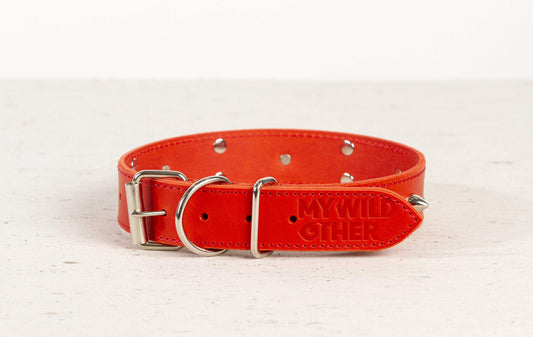 Handmade red leather STUDDED dog collar - European handmade dog accessories by My Wild Other