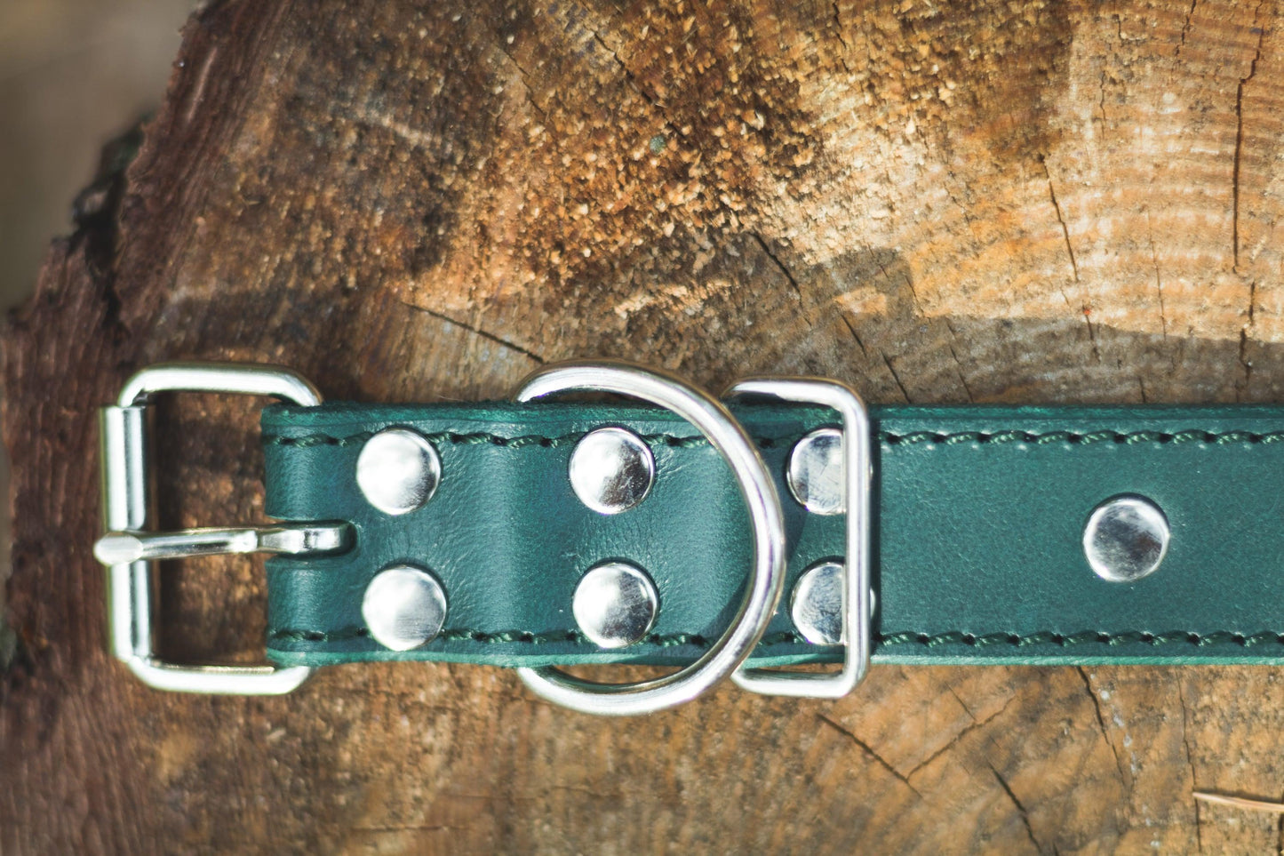 Handmade green leather STUDDED dog collar - European handmade dog accessories by My Wild Other