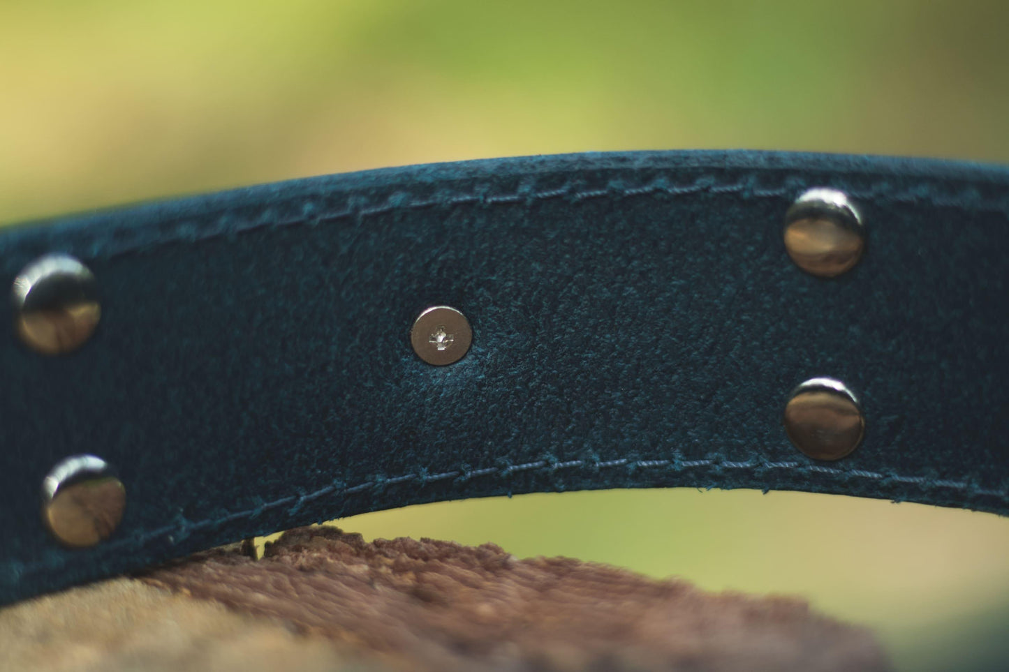 Handmade blue leather STUDDED dog collar - European handmade dog accessories by My Wild Other